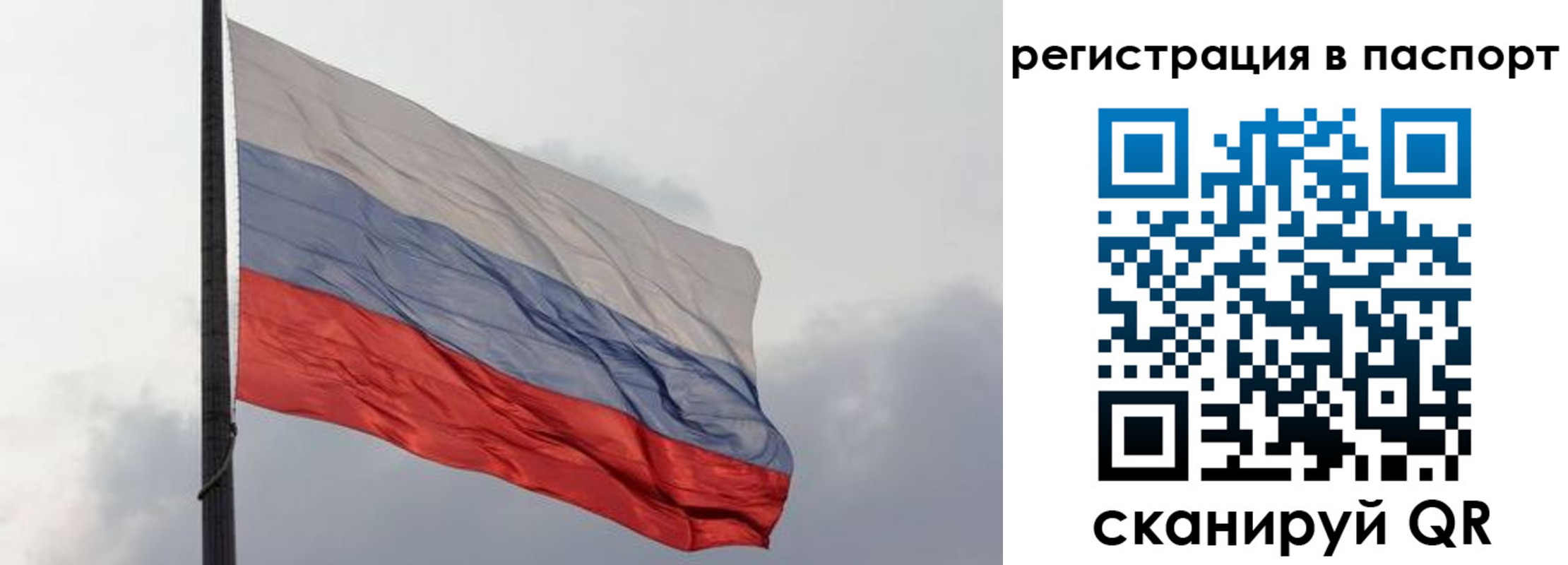 прописка для школы в Щёкино